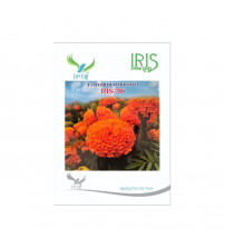 Marigold Orange Iris F1 IHS-786 100 Seeds